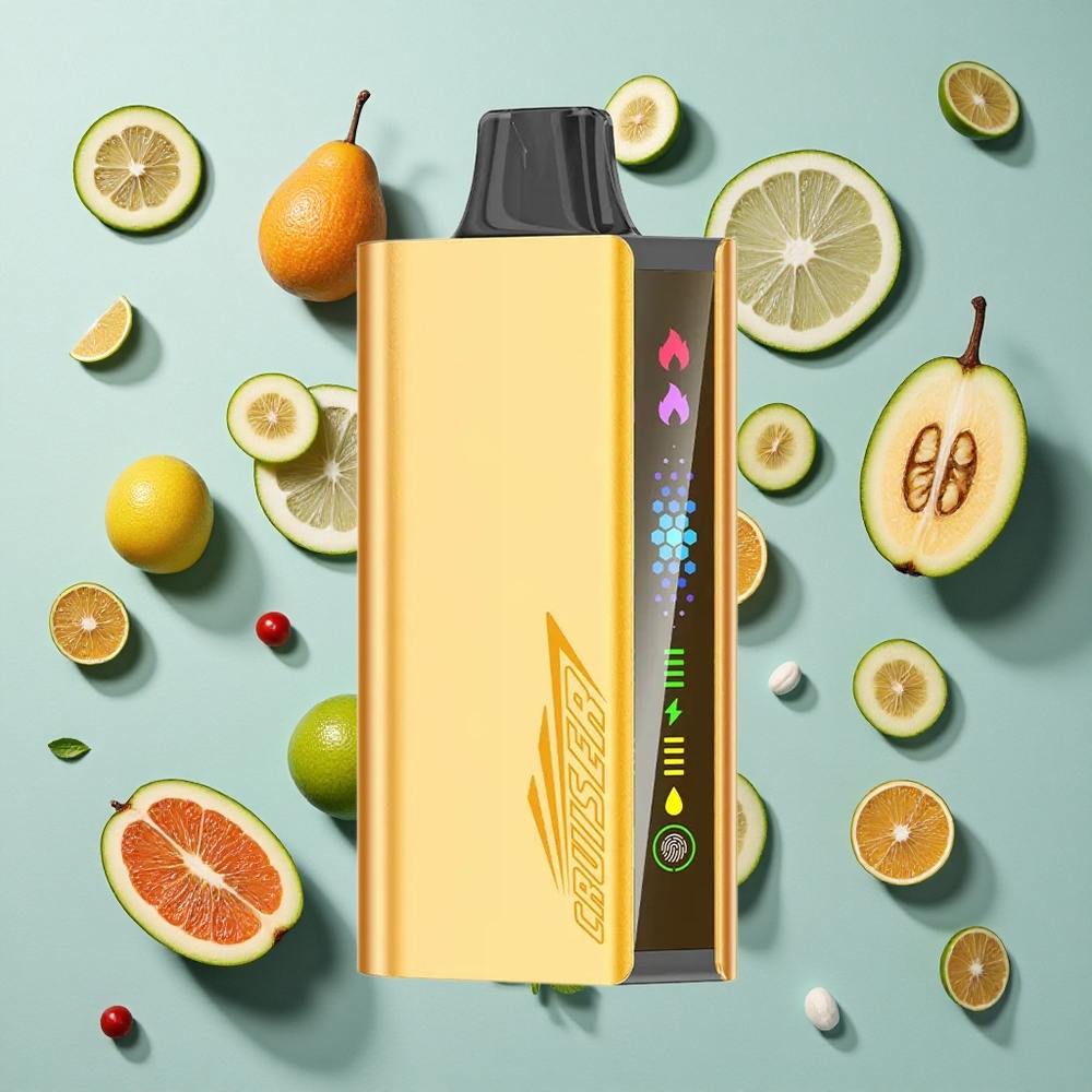 Cool Mint JNR Cruiser 12000 Puffs Ingen-opladning Engangsdamp 1.2ohm Dual Mesh Coil