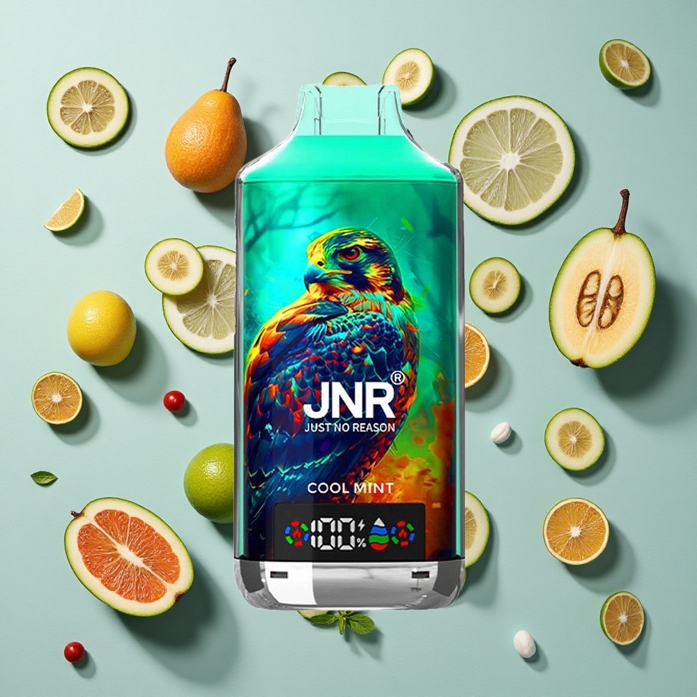 Cool Mint JNR Falcon X 18000 Puffs 24ml E-væske Dual Mesh Coil