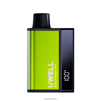 UWELL DL8000 engangs vape ananas mynte RXP0J284 UWELL Vape Price